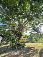 Tayrona Cachaco River