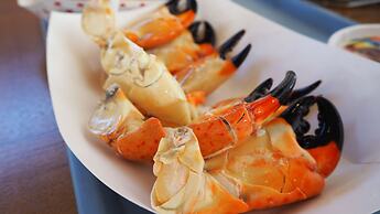 Casa Lago Waterfront Home & Pool Near Hard Rock Casino