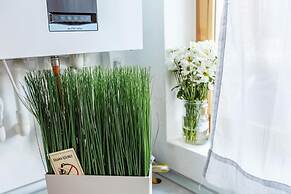 Cozy Apartment in the Old City of Istanbul