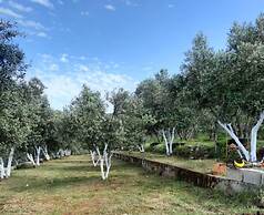 Charming House With Nature View in Fethiye