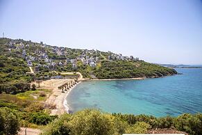 Villa With Sea View in Adabuku Milas Bodrum