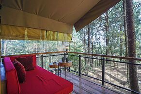 Everest Base Camp, Near George Everest House, 5kms from Library Chowk