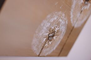 Appartements Sulzer by we rent