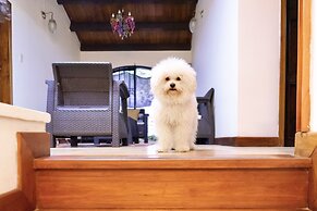 Ámbar Hostel  San Gil