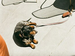 21 House of Stories Navigli