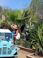 Les Suites Du Maquis