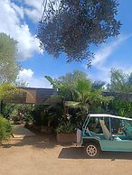 Les Suites Du Maquis