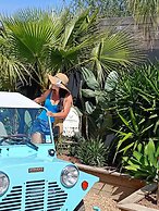 Les Suites Du Maquis