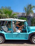 Les Suites Du Maquis