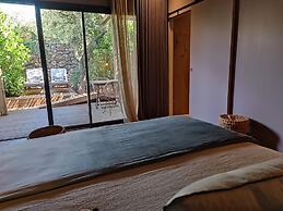 Les Suites Du Maquis