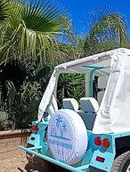 Les Suites Du Maquis