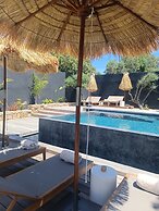 Les Suites Du Maquis