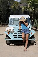 Les Suites Du Maquis