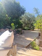 Les Suites Du Maquis