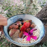 Les Suites Du Maquis