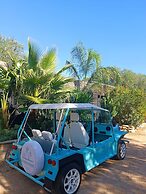 Les Suites Du Maquis