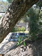 Les Suites Du Maquis