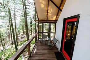 North Shore Camping Co.