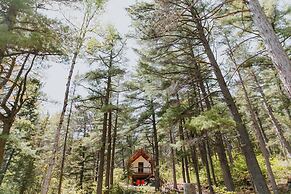 North Shore Camping Co.