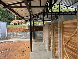 Esquipulas Rainforest