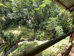 Esquipulas Rainforest