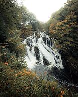 Erw Glas Glamping and Camping