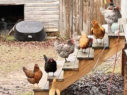 The Sunnyside Sisters Bed and Breakfast