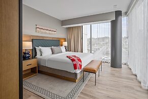 The Highlander at Radford, Tapestry Collection by Hilton