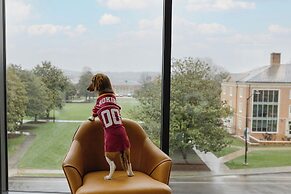 The Highlander at Radford, Tapestry Collection by Hilton