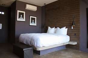 Pulso Valle de Guadalupe