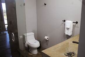 Pulso Valle de Guadalupe