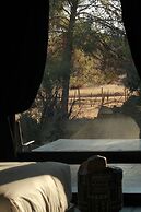 Pulso Valle de Guadalupe