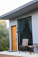 Pulso Valle de Guadalupe