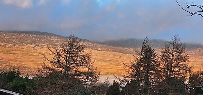 Snowdonia National Park Log Cabin With Garden