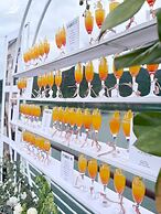 Halong Capella Cruise - Member of Lyra Cruise Collection