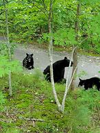 Scenic Smoky Mountains Escape w/ Hot Tub