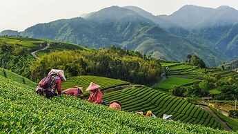 Hotel Indigo Alishan by IHG