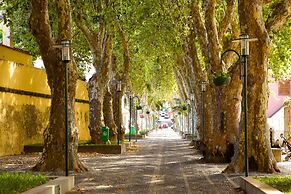 Sunny Beach Machico Apartment