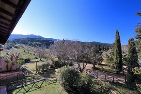 Pimpinnacolo 1 - 1BR M2