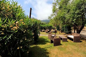 Pimpinnacolo 1 - 1BR M2