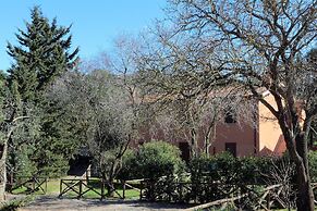 Pimpinnacolo 1 - 1BR M2