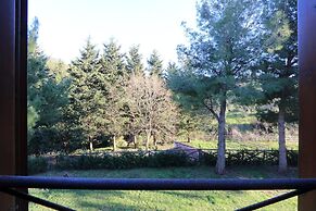 Pimpinnacolo 1 - 1BR M2