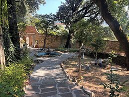 Fantastic Garden
