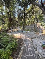 Fantastic Garden
