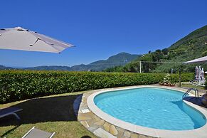 Ginepro Grillo in Camaiore