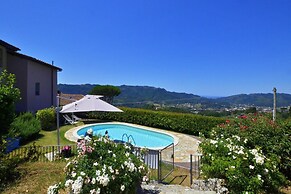 Ginepro Grillo in Camaiore