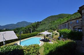 Ginepro Grillo in Camaiore