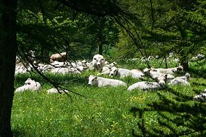 Rebecca s House few Steps From Skiing