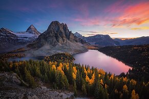 One Hotel Room with King Bed & AC