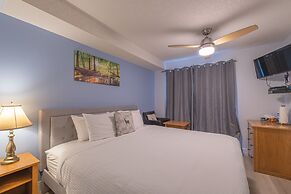 One Hotel Room with King Bed & AC